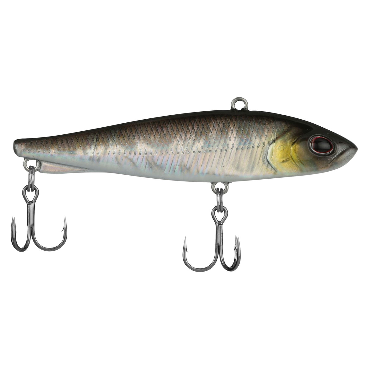 Berkley Ripfish