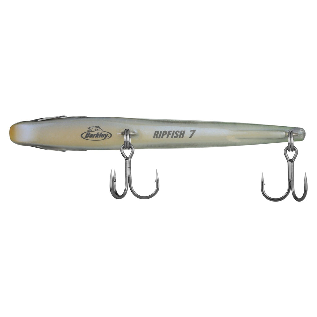 Berkley Ripfish