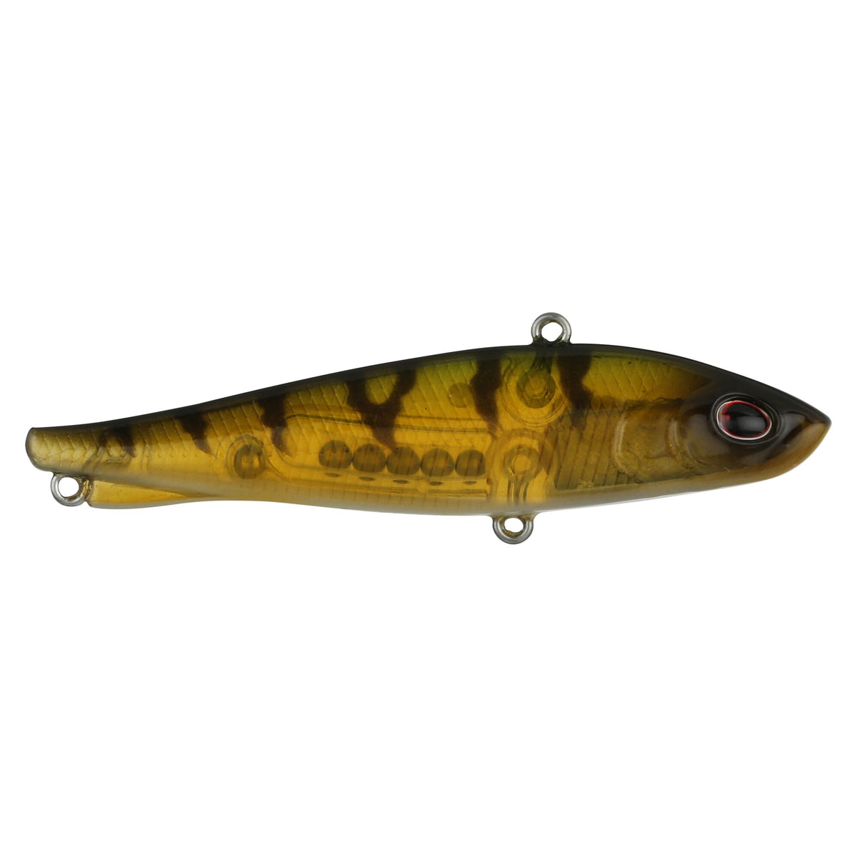 Berkley Ripfish