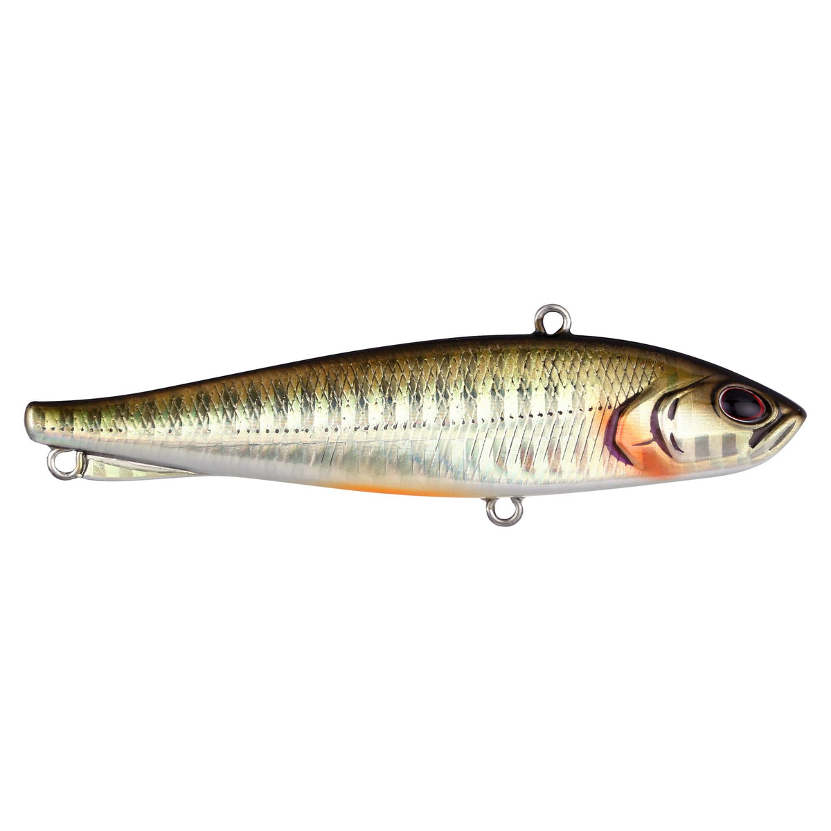 Berkley Ripfish
