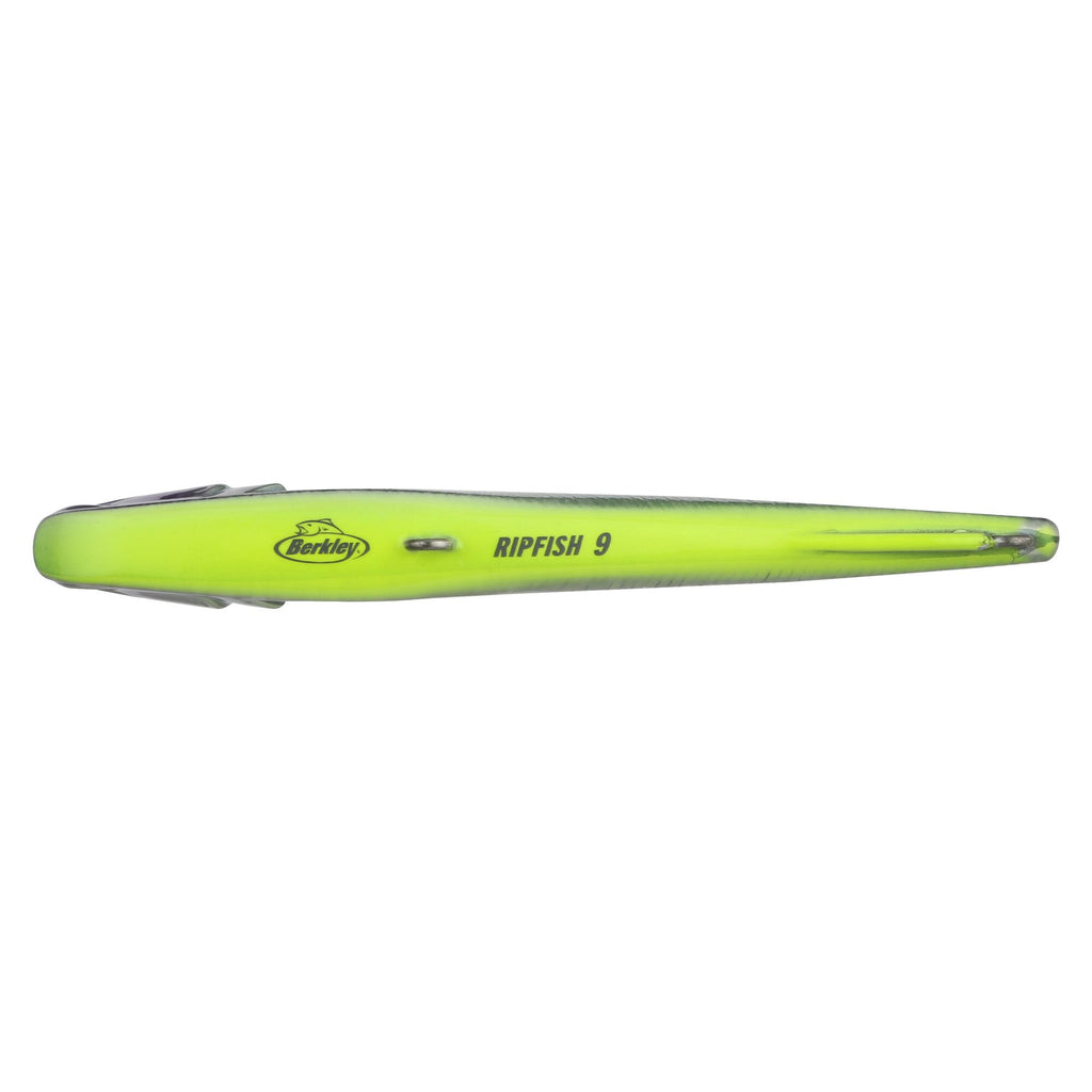 Berkley Ripfish