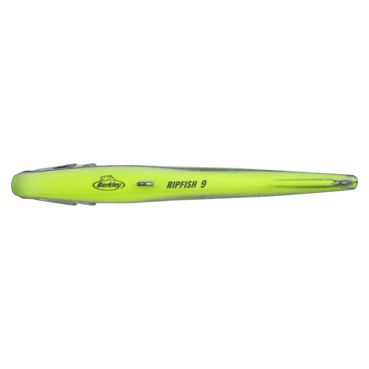 Berkley Ripfish