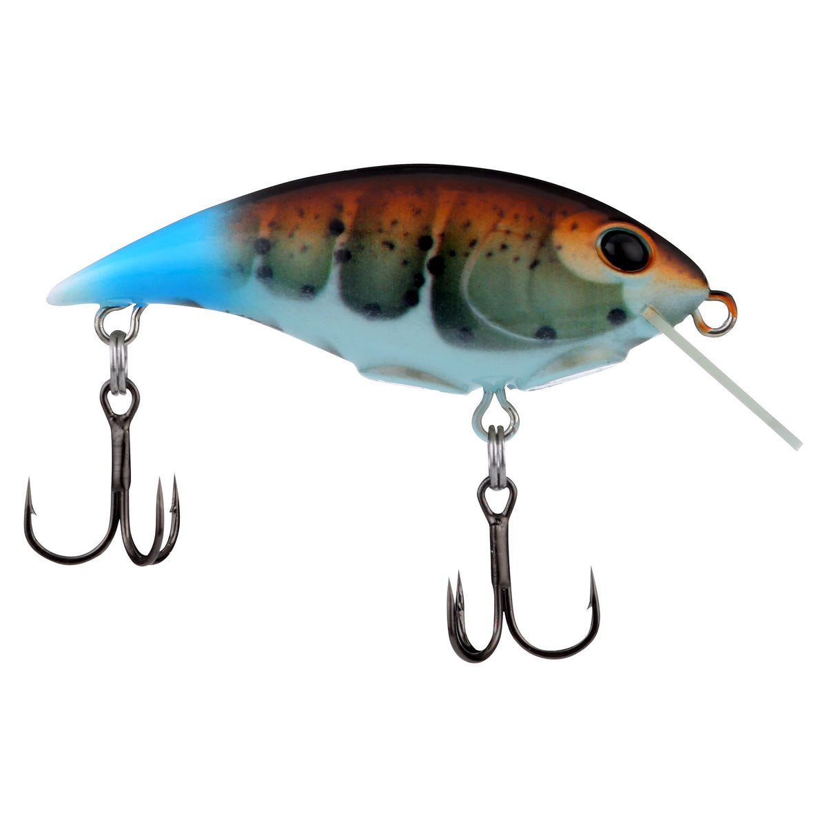 Berkley Shallow Money Badger