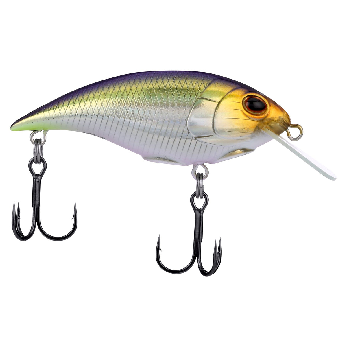 Berkley Shallow Money Badger