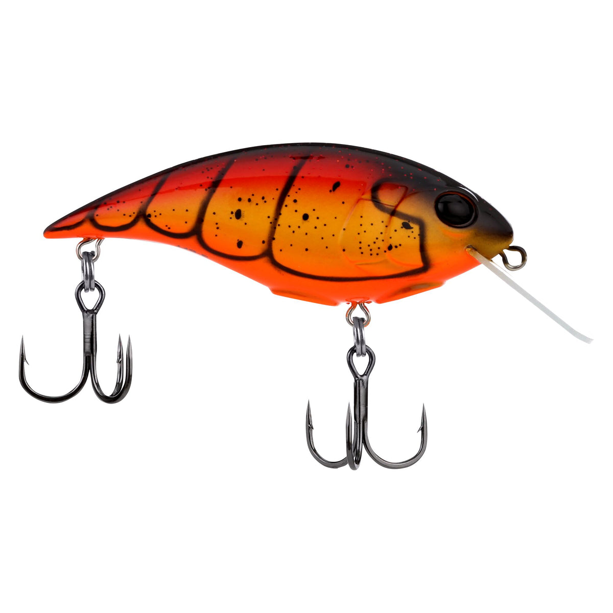 Berkley Shallow Money Badger