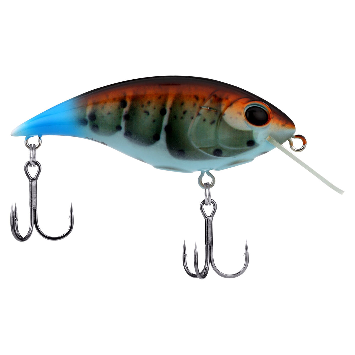 Berkley Shallow Money Badger