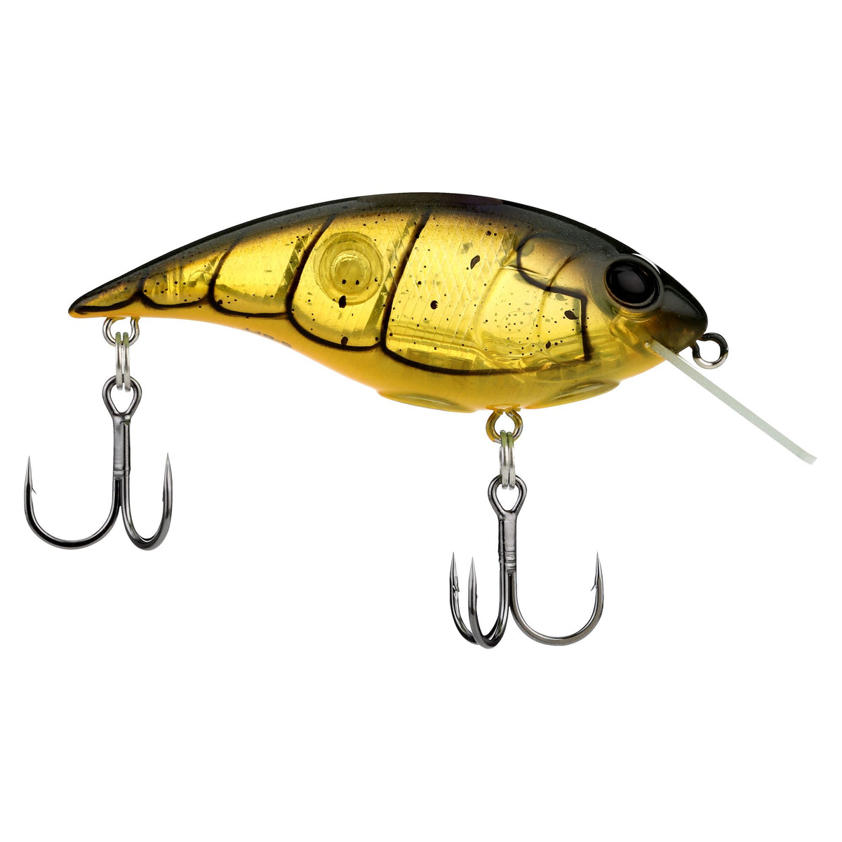 Berkley Shallow Money Badger