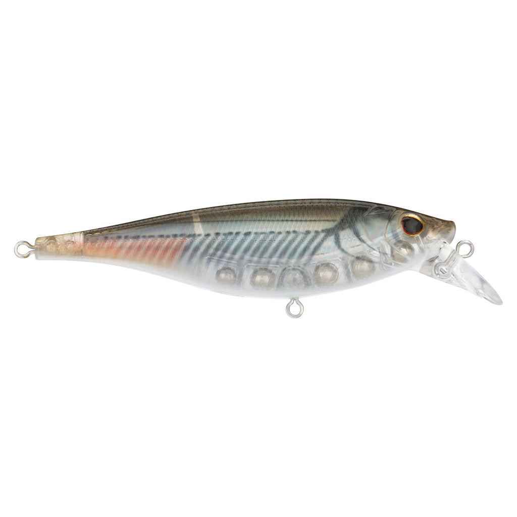 Berkley Juke Saltwater