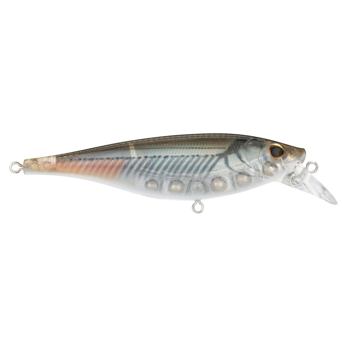 Berkley Juke Saltwater