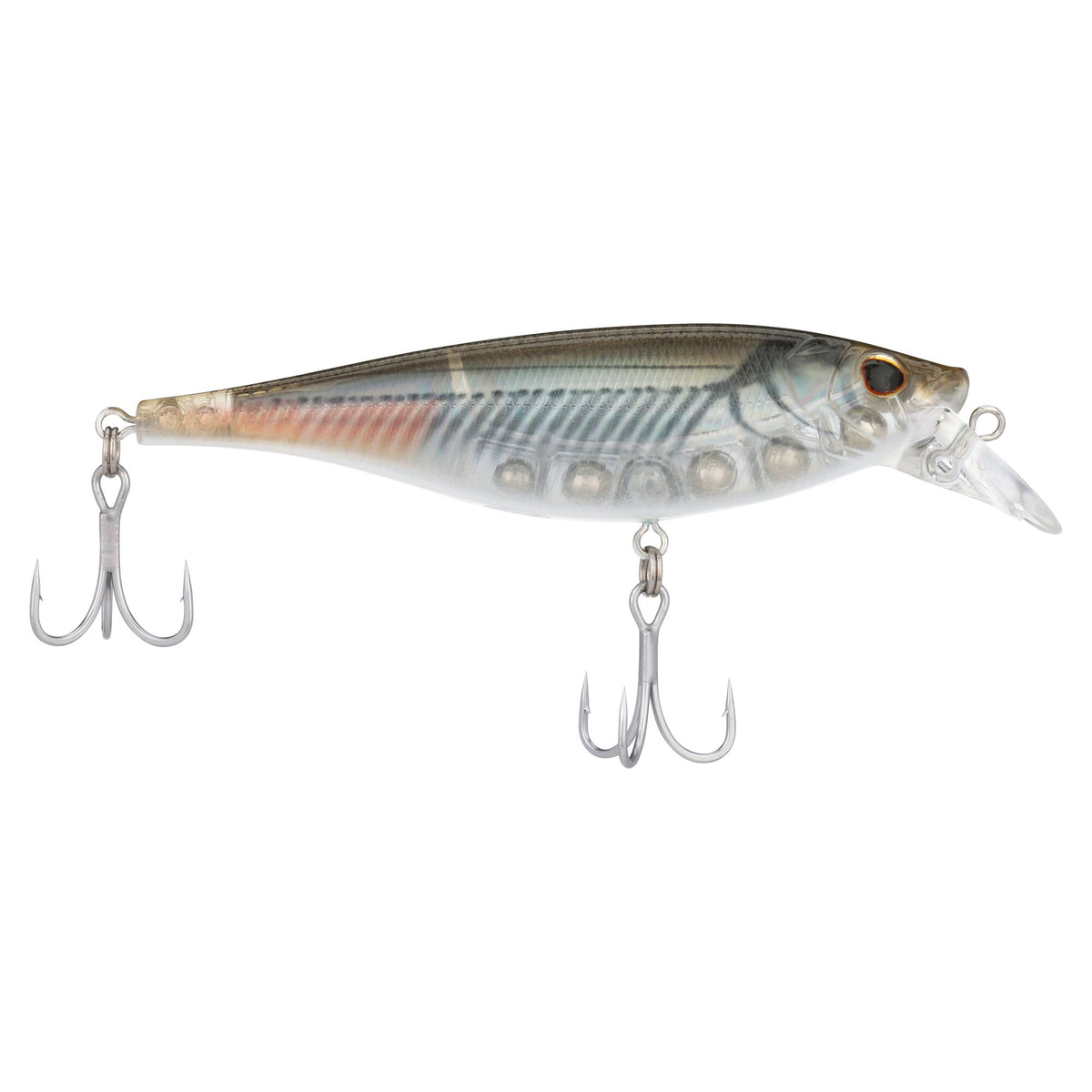 Berkley Juke Saltwater