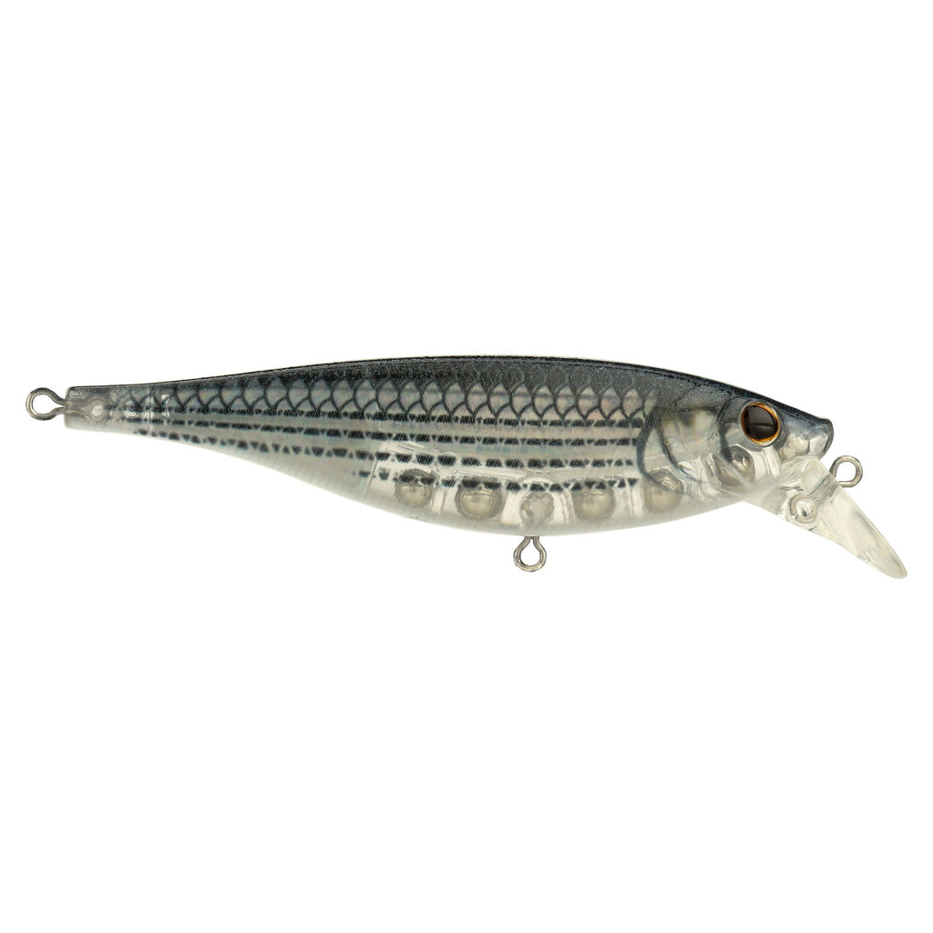 Berkley Juke Saltwater