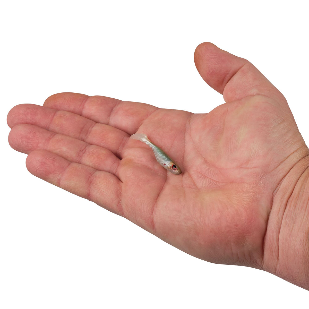 Berkley PowerBait® Ripple Shad