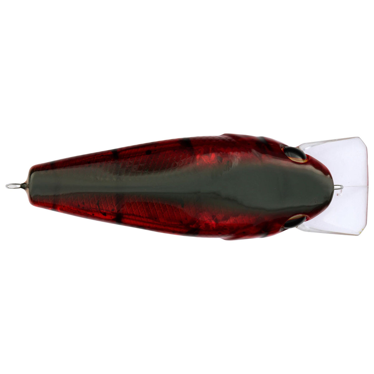 Berkley SquareBull