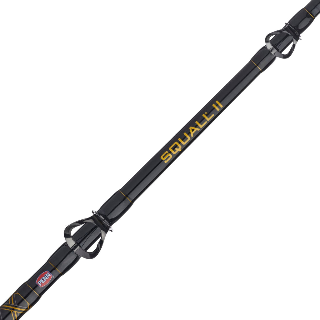 PENN Squall® II Level Wind Conventional Combo