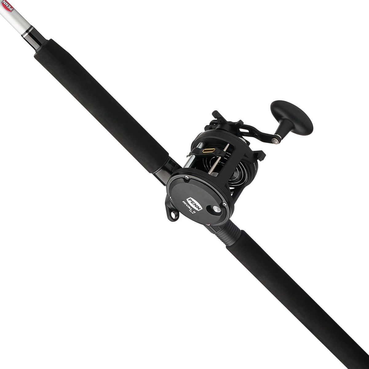 PENN Rival™ II Level Wind Combo