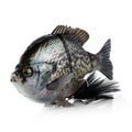 Savage Gear 3D Line Thru Bluegill OG